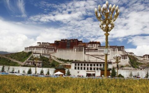 阿嫂来啦家政：构建全国性家政服务生态新篇章 助推行业发展