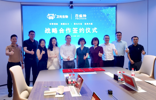 202507311153151387764121 202507311153151387764121