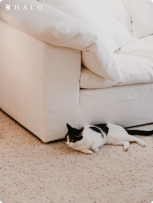 image15_sm image15_sm