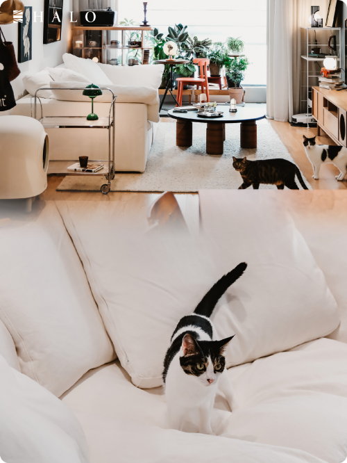 image16_sm image16_sm