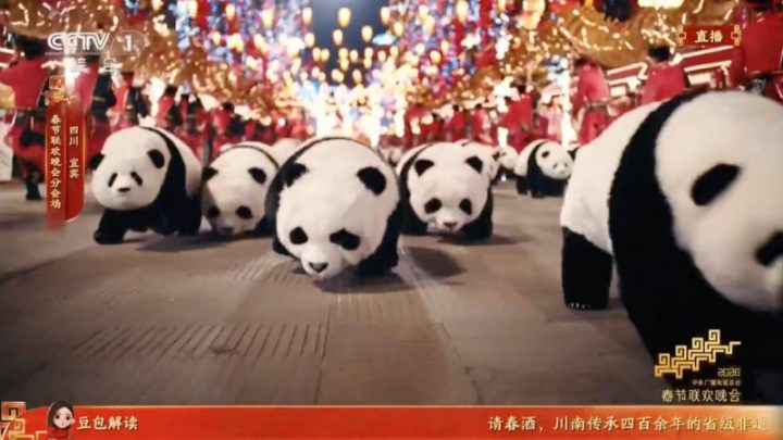 20260216214954545624594