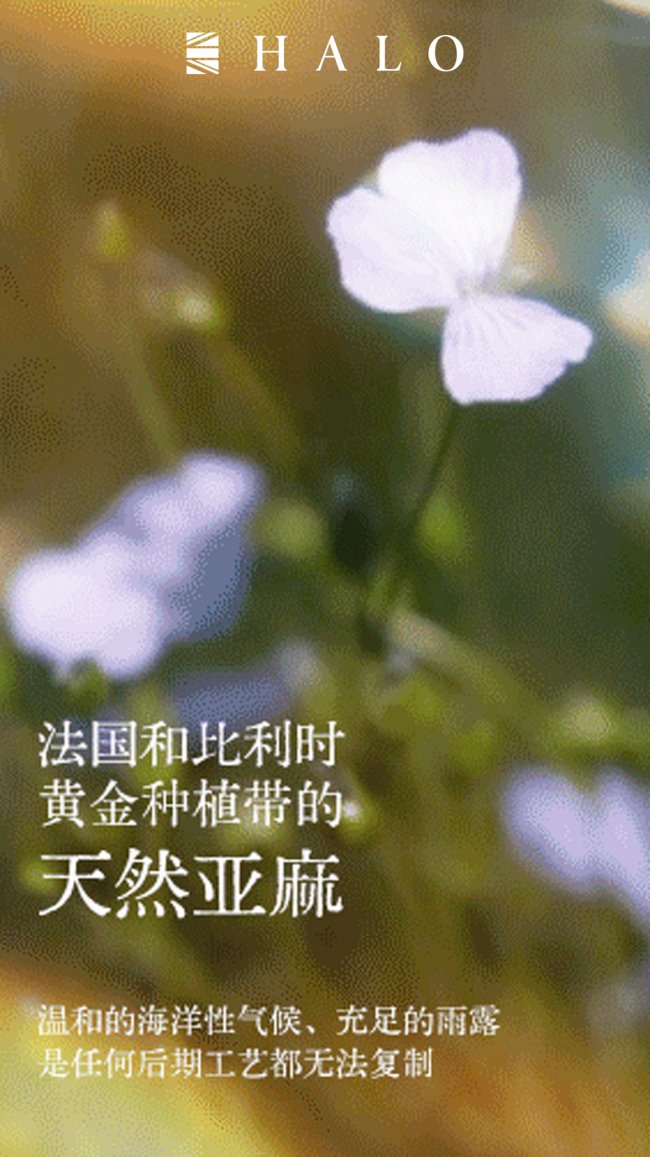 image4_sm-2